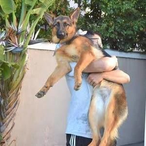 Meet your Posher, Steven